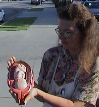 20 week baby in the womb (model) held by Terri Palmquist