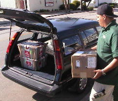 Courier carries a box and two crates filled with corpses of babies